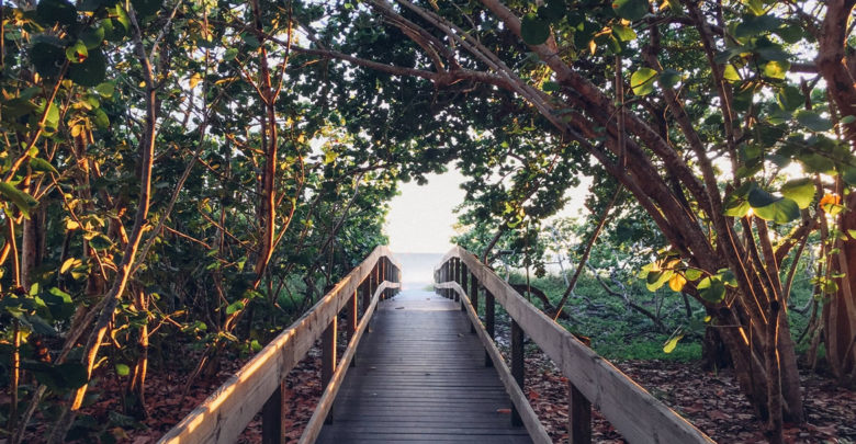Averiguar si una fotografía ha sido retocada
