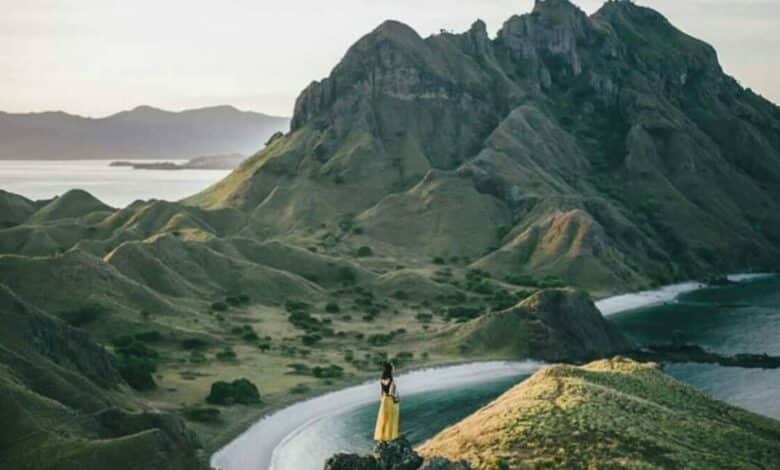 Seleccionar una imagen destacada por defecto en WordPress